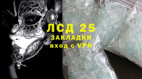 прущие грибы Алзамай