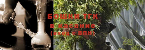 прущие грибы Алзамай